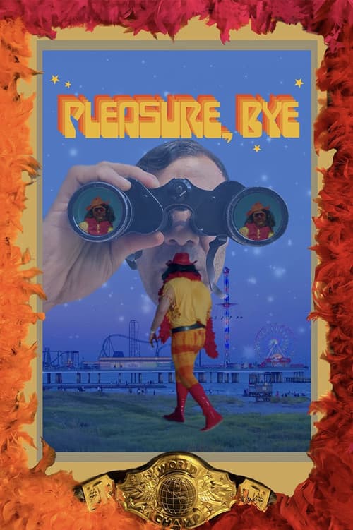 Pleasure, Bye poster