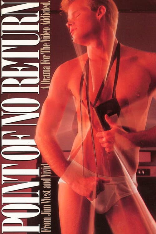 Point of No Return poster