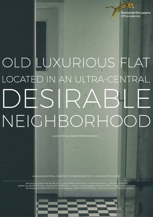 Old, Luxurious Flat Located in an Ultra-Central, Desirable Neighborhood poster