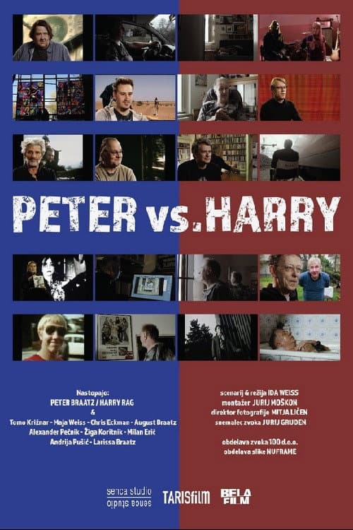 Peter vs. Harry poster