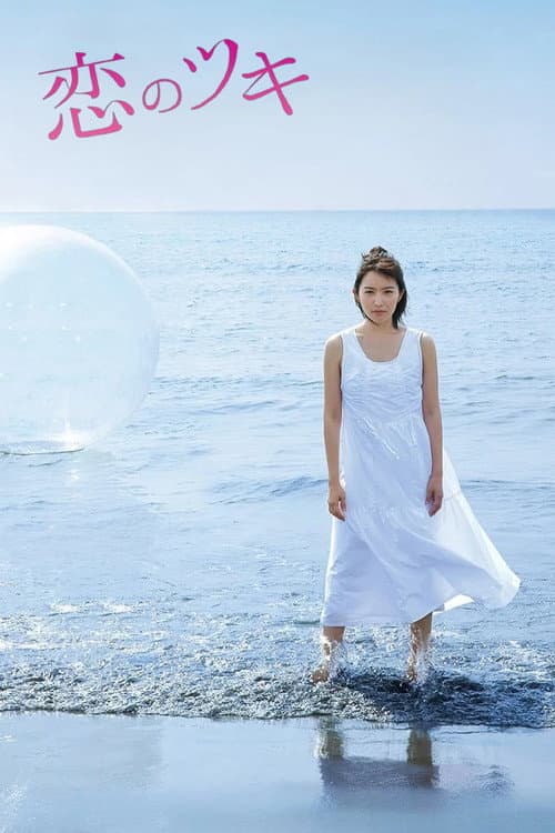 Love and Fortune poster