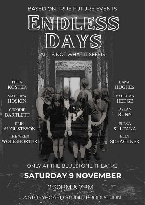 Endless Days poster
