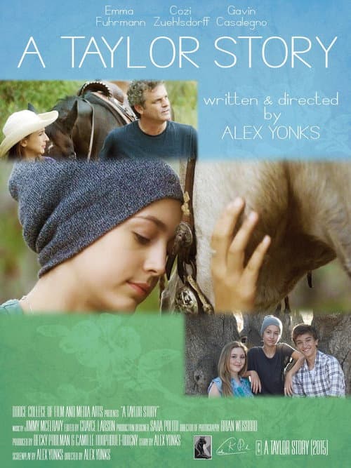 A Taylor Story poster