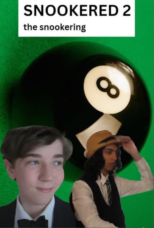 Snookered 2 poster