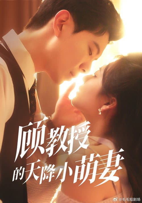 顾教授的天降小萌妻 poster