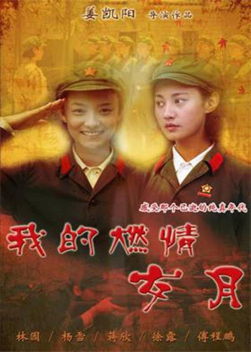 我的燃情岁月 poster