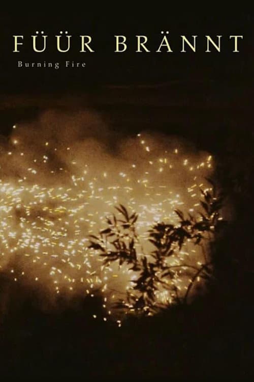 Burning Fire poster
