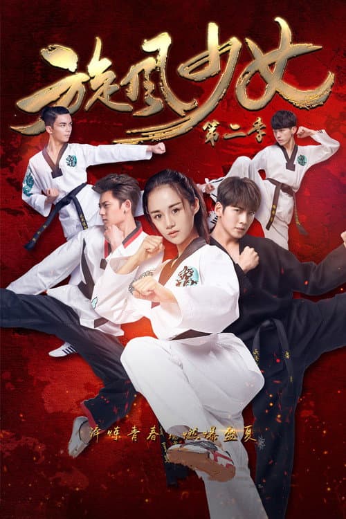 旋风少女2 poster