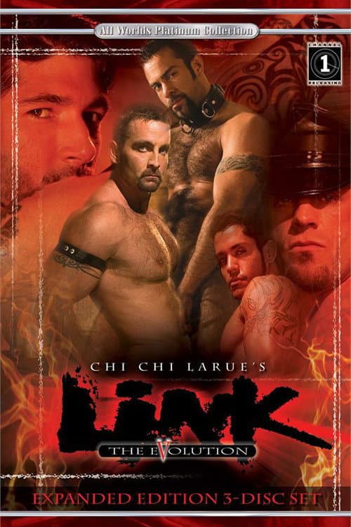 Link 5: The Evolution poster