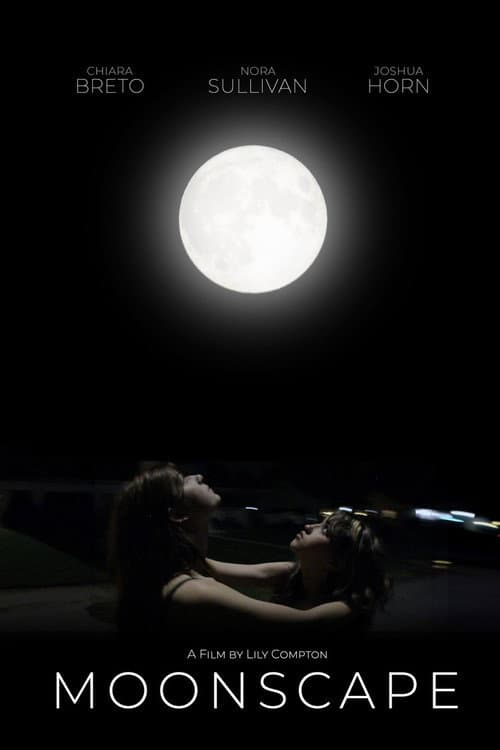 Moonscape poster