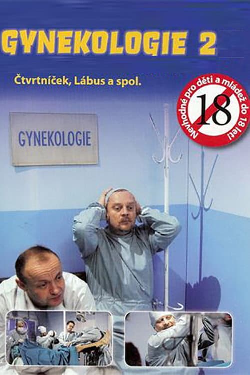 Gynekologie 2 poster