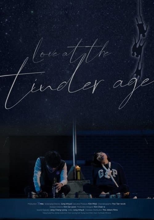 Love at the Tinder Age poster