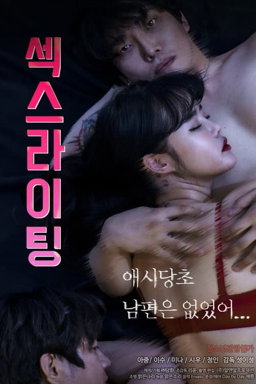 Sexwriting poster