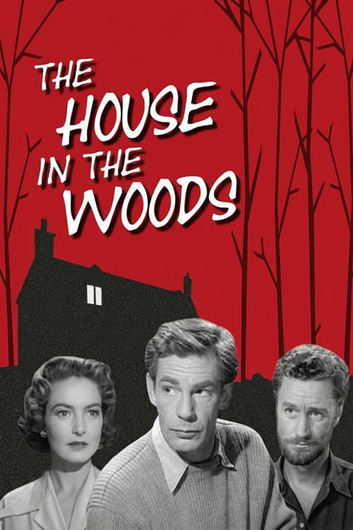 The House in the Woods poster