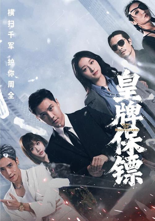 皇牌保镖 poster