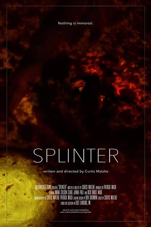 Splinter poster