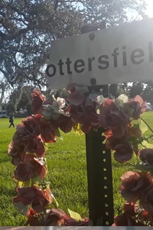 Pottersfield poster