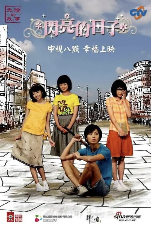 闪亮的日子 poster