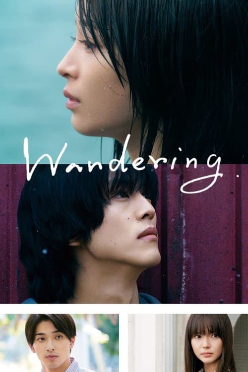 The Wandering Moon poster