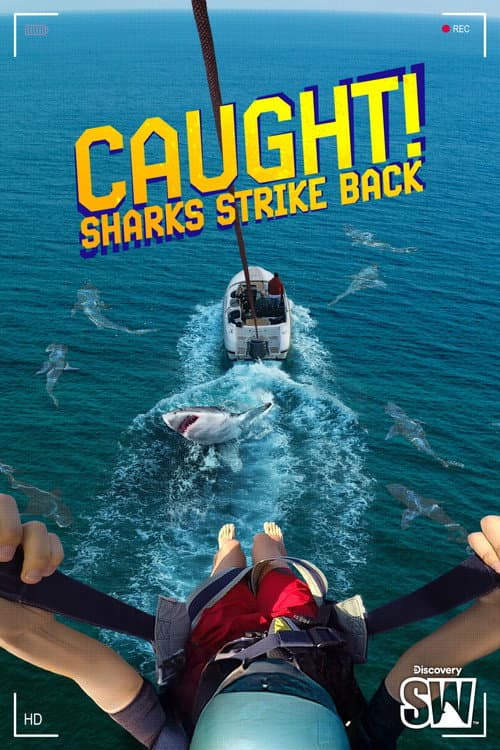 Caught! Sharks Strike Back poster