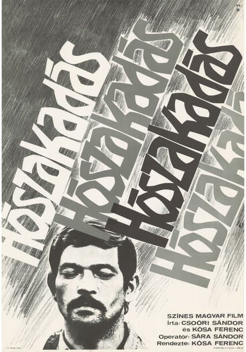 Snowfall poster