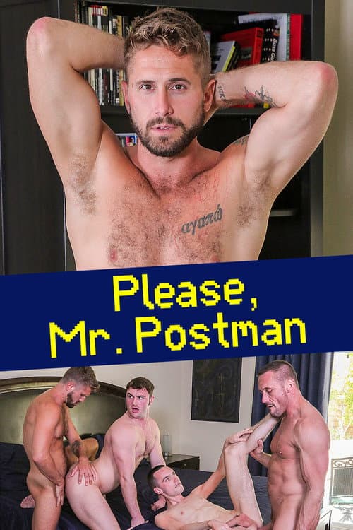 Please, Mr. Postman poster