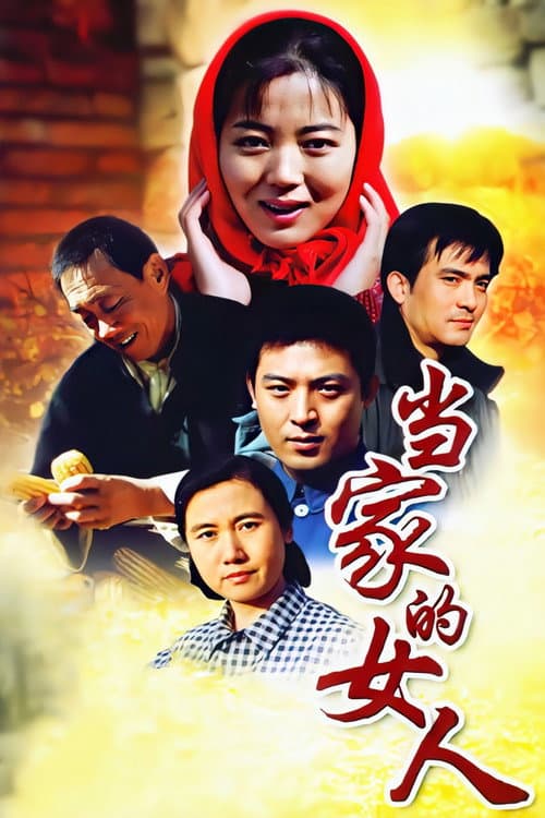 当家的女人 poster