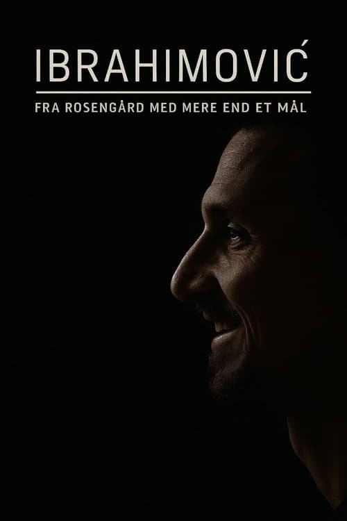 Ibrahimović – From Rosengård with More Than One Goal poster