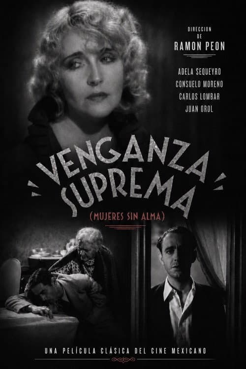 Venganza suprema poster