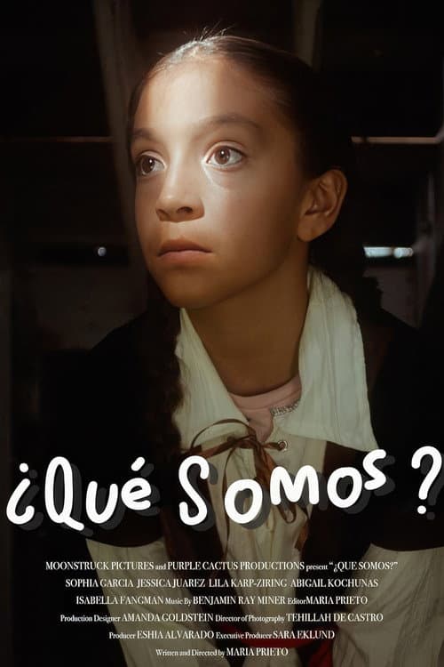 ¿Qué Somos? poster