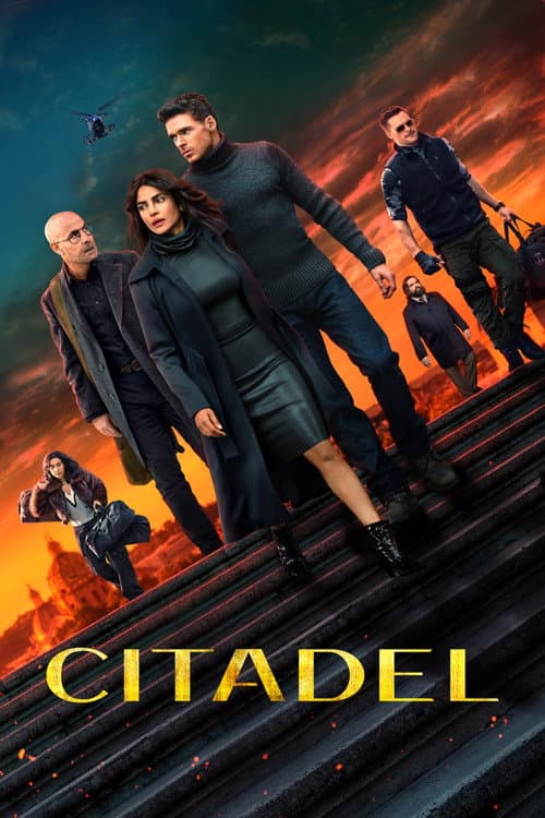 Citadel poster
