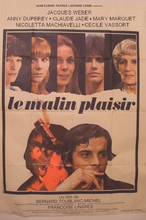 Evil Pleasure poster