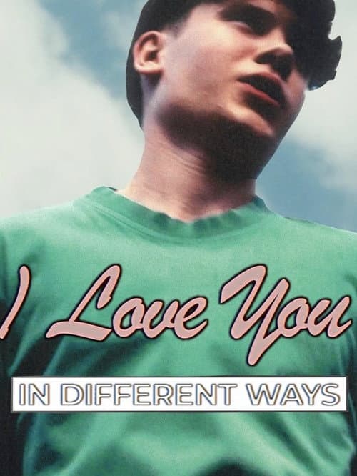 I Love You in Different Ways poster