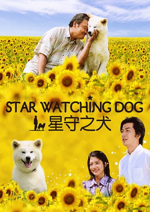 Star Watching Dog poster