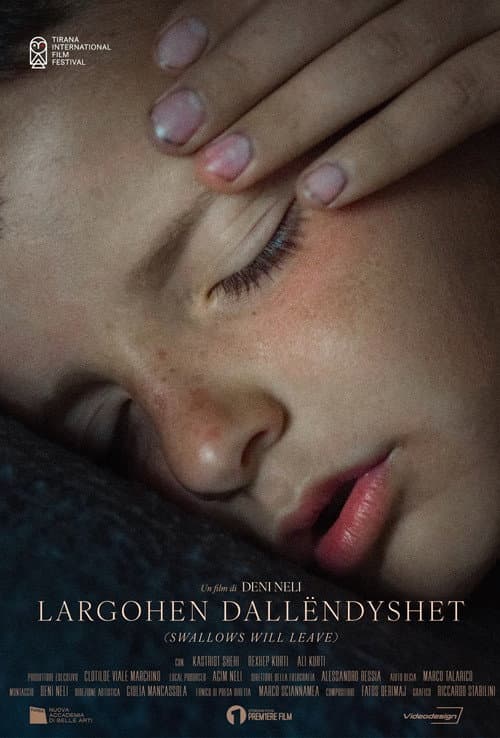 Largohen Dallëndyshet poster