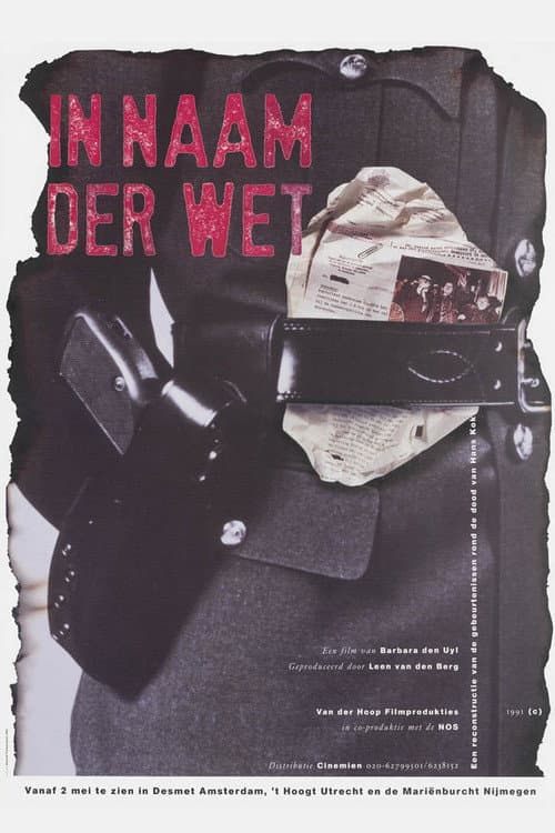 In the Name of the Law poster