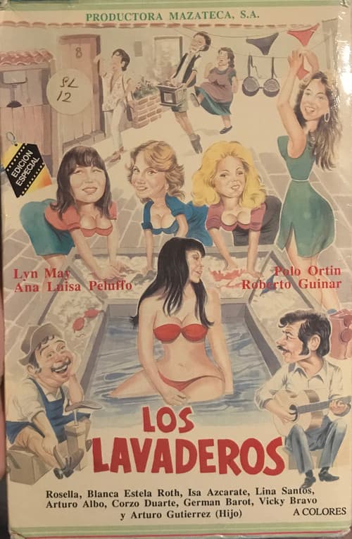 The Laundry Room poster
