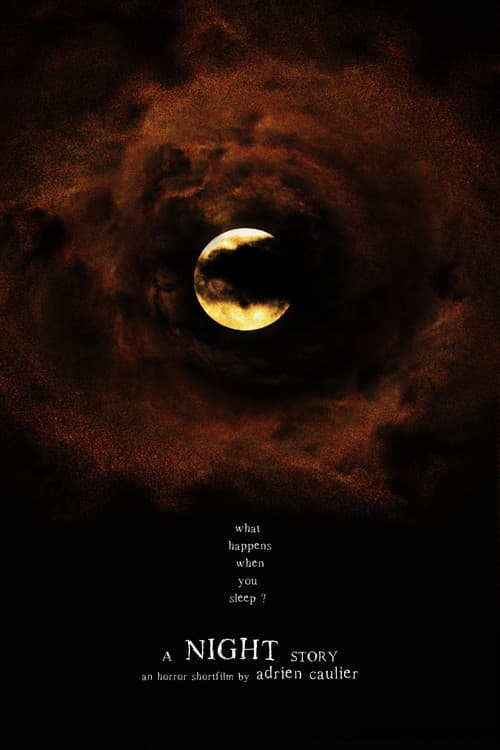 A Night Story poster