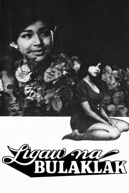 Wild Flower poster