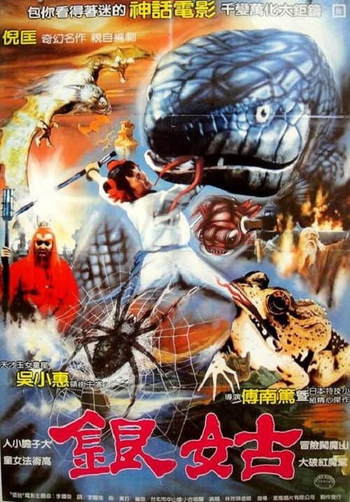Silver Maid poster
