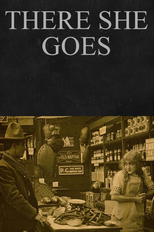 There She Goes poster