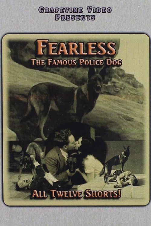 The Wolf poster