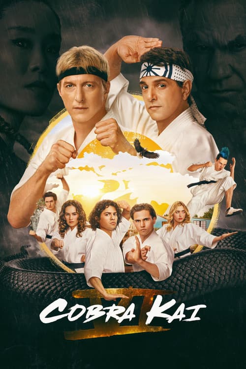Cobra Kai poster
