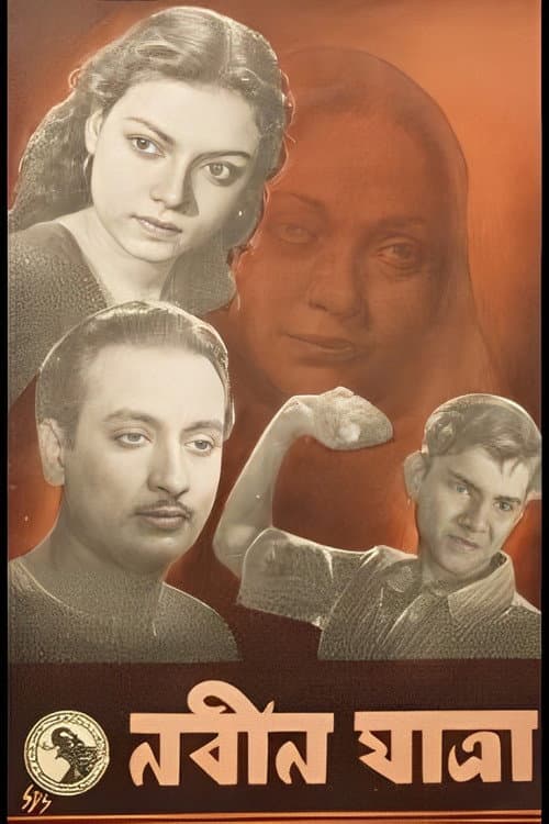 A New Journey poster