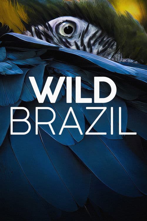 Wild Brazil poster