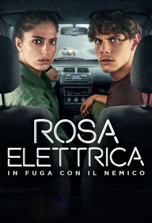 Rosa Elettrica - In fuga con il nemico poster