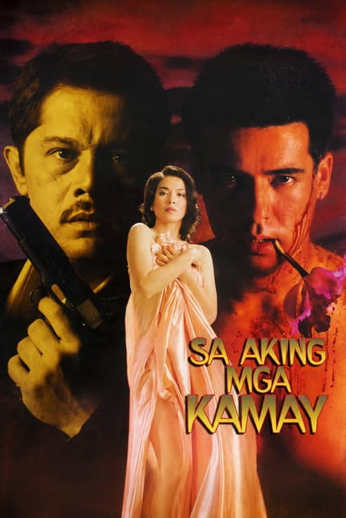 In My Own Hands poster