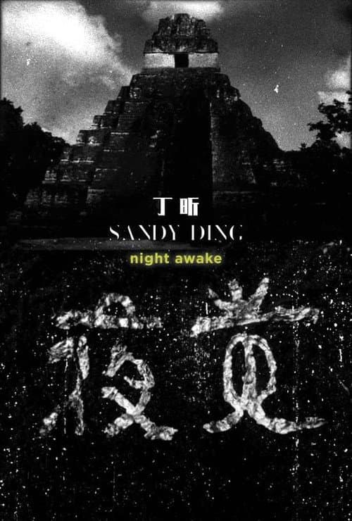 Night Awake poster