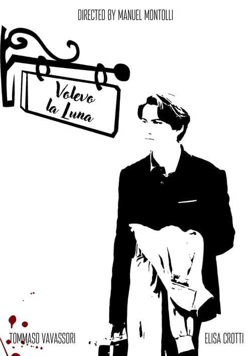 Volevo la Luna poster