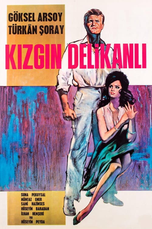 The Angry Young Man poster